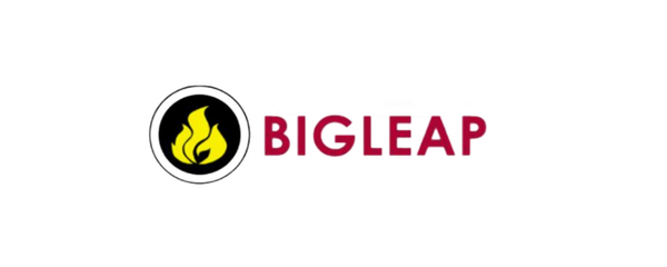 Bigleap fire extinguishers